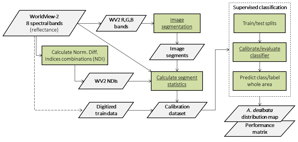 Exercise workflow